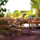 Illustration for article titled Cool Macroshots Show The Dramatic Adventures of emStar Wars/em Figurines